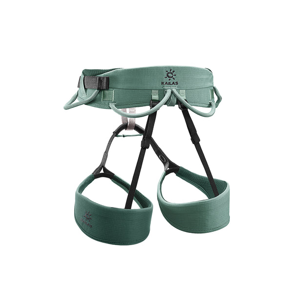 Color_Sage Green