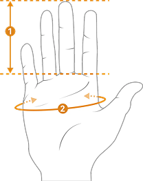 Size measurement guide